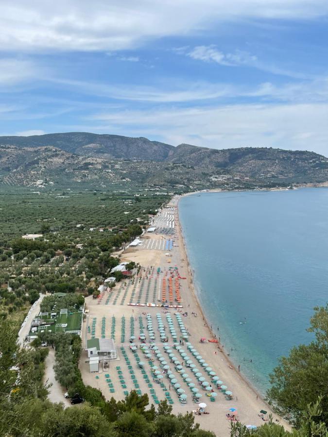 Apartament Orchidea Mattinata Parco Del Gargano Zewnętrze zdjęcie