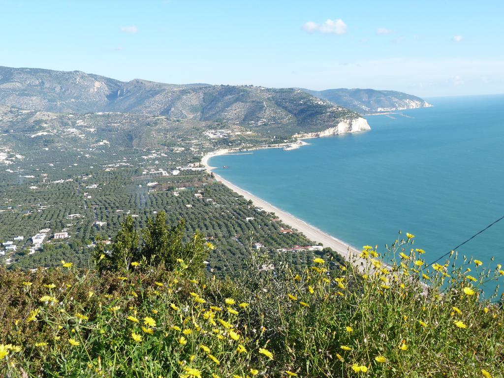 Apartament Orchidea Mattinata Parco Del Gargano Zewnętrze zdjęcie