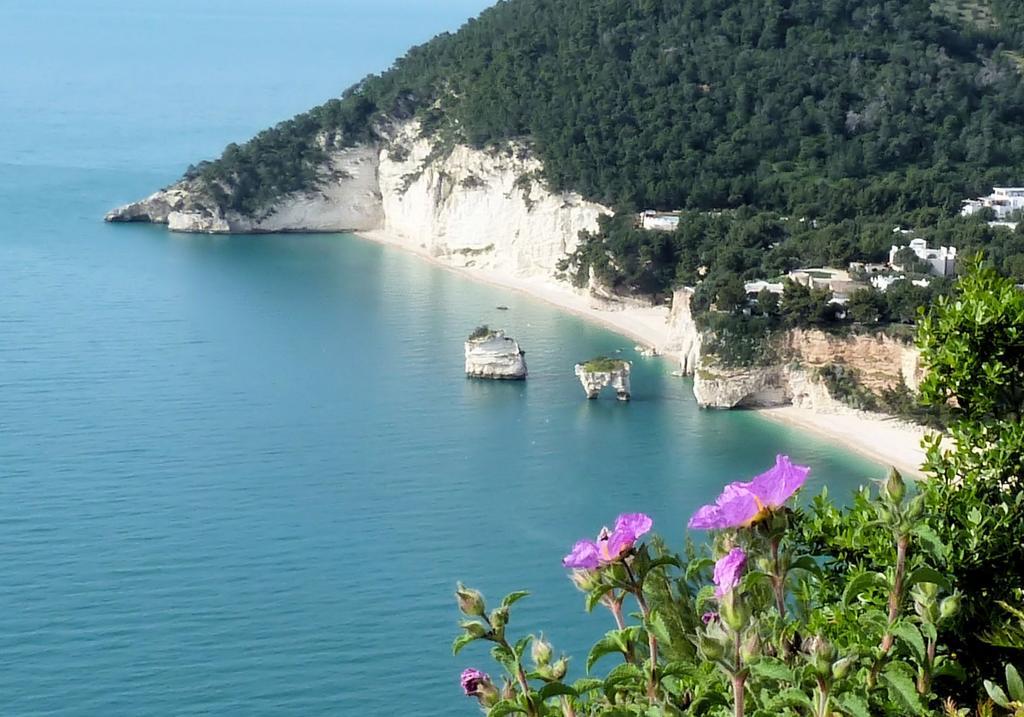 Apartament Orchidea Mattinata Parco Del Gargano Zewnętrze zdjęcie